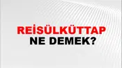 Reisülküttap