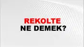 Rekolte