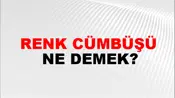 Renk Cümbüşü