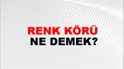 Renk Körü