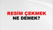 Resim Çekmek (Veya çıkarmak)
