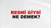 Resmî Giysi