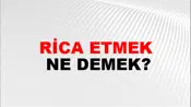 Rica Etmek