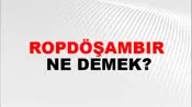 Ropdöşambır