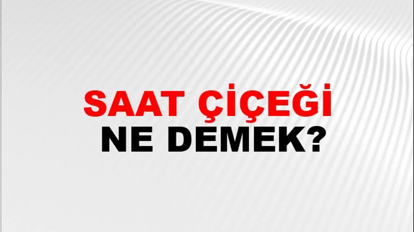 Saat Çiçeği Saat Çiçeği