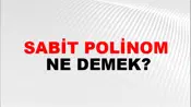 Sabit Polinom