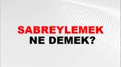Sabreylemek