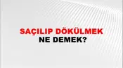 Saçılıp Dökülmek