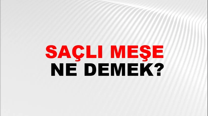 Saçlı Meşe Saçlı Meşe