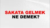 Sakata Gelmek