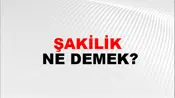 Şakilik