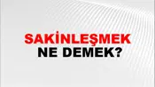 Sakinleşmek
