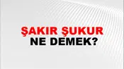 Şakır Şukur