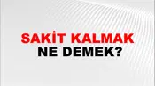 Sakit Kalmak