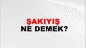 Şakıyış