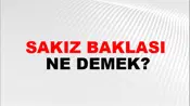 Sakız Baklası