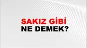 Sakız Gibi