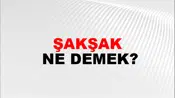 Şakşak
