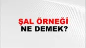 Şal Örneği