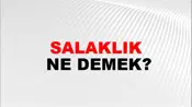 Salaklık
