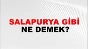 Salapurya Gibi