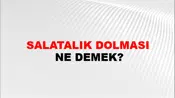 Salatalık Dolması