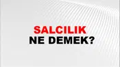 Salcılık
