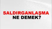 Saldırganlaşma
