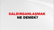 Saldırganlaşmak