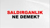 Saldırganlık