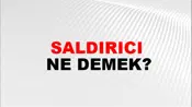 Saldırıcı