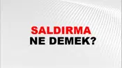 Saldırma