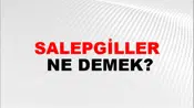 Salepgiller