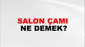 Salon Çamı