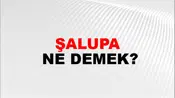 Şalupa
