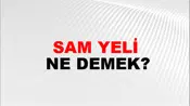 Sam Yeli