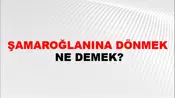 Şamaroğlanına Dönmek
