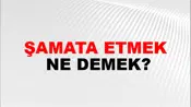Şamata Etmek