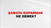 Şamata Koparmak