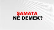Şamata