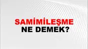 Samimileşme