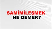 Samimileşmek