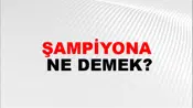 Şampiyona