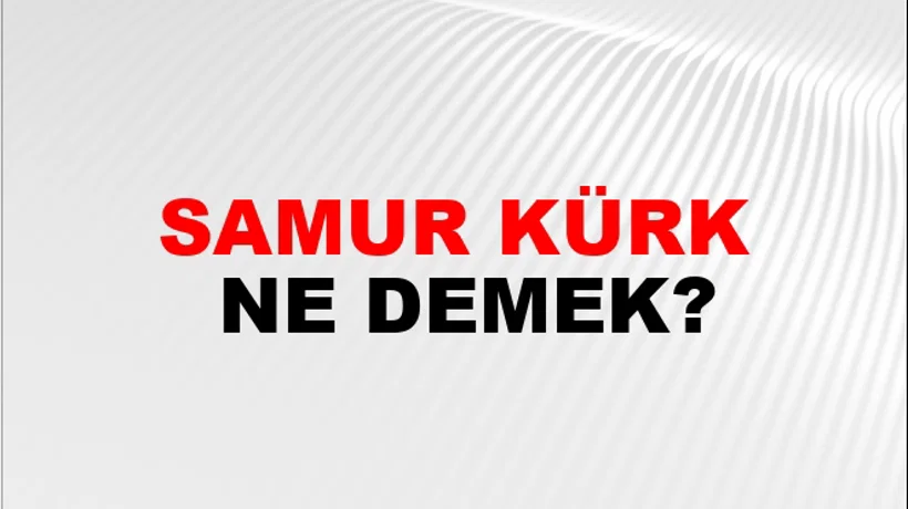 Samur Kürk Samur Kürk
