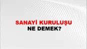 Sanayi Kuruluşu