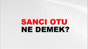 Sancı Otu