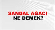 Sandal Ağacı