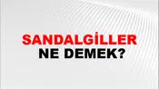 Sandalgiller