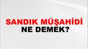 Sandık Müşahidi
