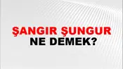 Şangır Şungur